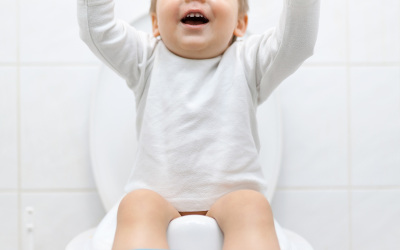 Toilet Training: embracing the adventure