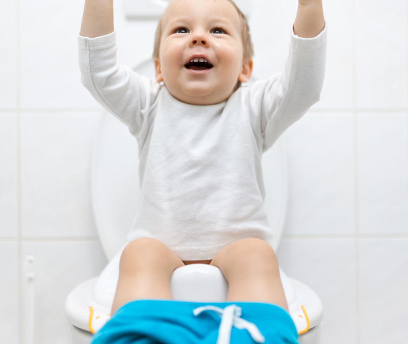 Toilet Training: embracing the adventure